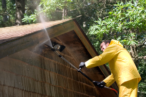 Pressure Washing Services In Deale Md